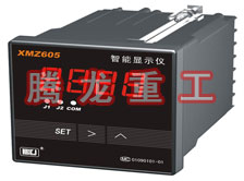 溫度表、數(shù)字顯示儀、濕度表