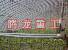 大棚花卉供暖設(shè)備、大棚卉采暖設(shè)備、大棚花卉取暖設(shè)備