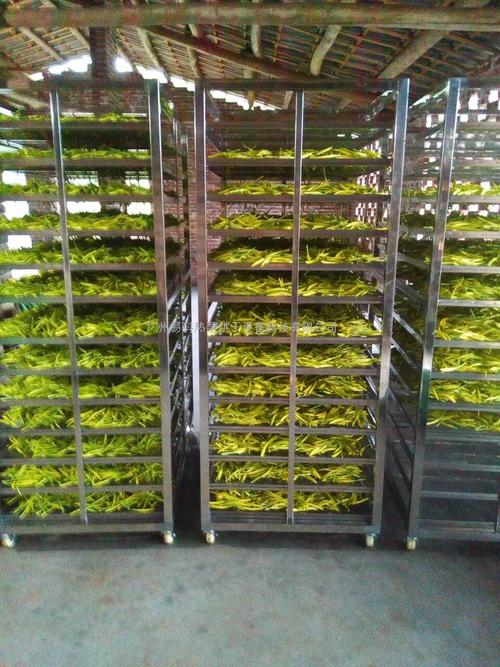 黃花菜烘干機、黃花菜烘干設備、黃花菜干燥機、黃花菜干燥設備、